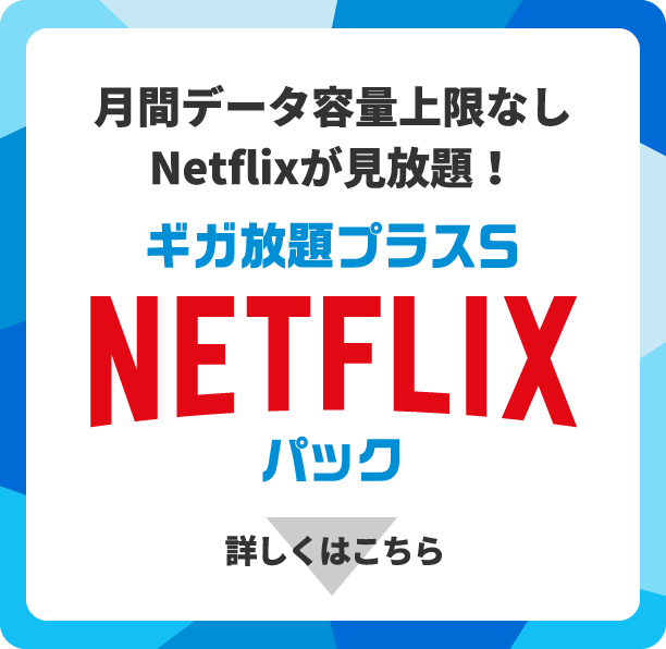 ギガ放題プラスS NETFLIXパック